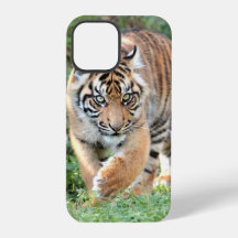Foto , dieren , tijger , tijger . Hoesje-Mate iPho
