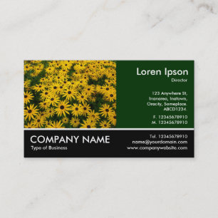 Foto: Dk Green - Black-eyed Susans Visitekaartje