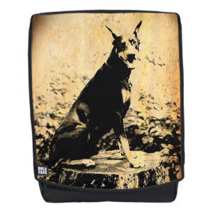 foto Doberman Pinscher Rugtassen