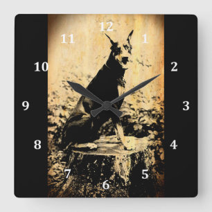  foto Doberman Pinscher Vierkante Klok