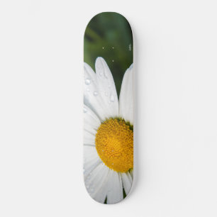foto doen een margueritte, druppel water, groen skateboard