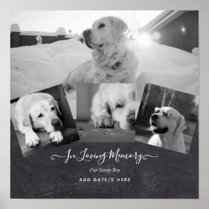 FOTO Dog Memorial Gift- Pet Loss Keepslag Collage Poster