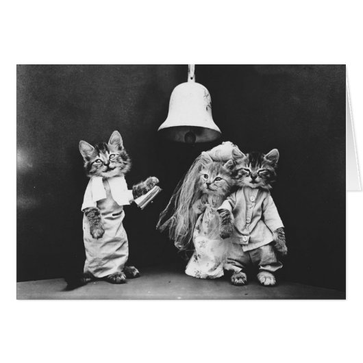  foto - een keukenkat bruiloft , (Voorkant Horizontaal)