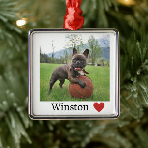 Foto en naam Franse Bulldog Metalen Ornament