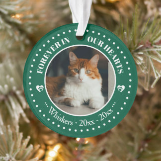 Foto- en naamherdenking voor katten in onze harten ornament
