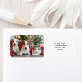 Foto Etiket (Insitu)