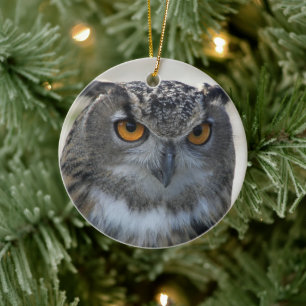 Foto Eurasian Eagle Owl Keramisch Ornament