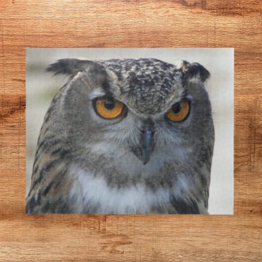 Foto Eurasian Eagle Owl Legpuzzel