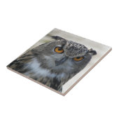 Foto Eurasian Eagle Owl Tegeltje (Zijkant)