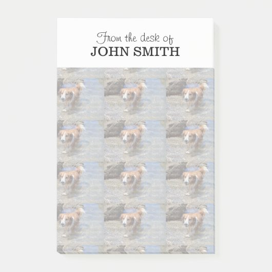 Foto familie logo Post-it® notes (Voorkant)