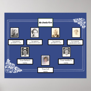Foto Family Tree Roos Tekenrand op blauw Poster