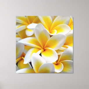 Foto Frangipani Plumeria Flower Canvas Afdruk