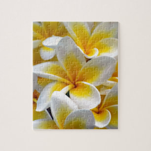 Foto Frangipani Plumeria Flower Legpuzzel