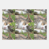 Foto Gift Wrap HAMbyWG Inpakpapier Vel (Voorkant 3)