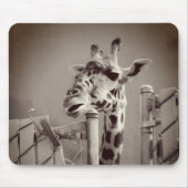 Foto Giraffe - stijl Muismat (Voorkant)