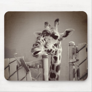 Foto Giraffe -  stijl Muismat