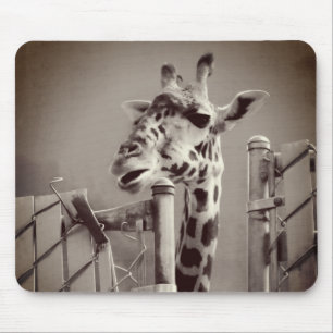Foto Giraffe -  stijl Muismat