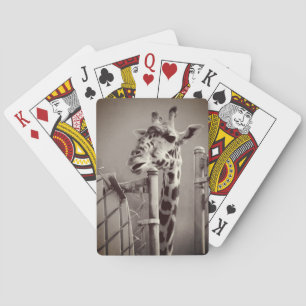Foto Giraffe -  stijl Pokerkaarten