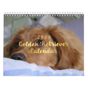 Foto Golden Retriever Calendar 2023 Kalender
