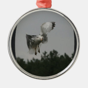 Foto groot ovaal Lijst toevoegen (zwart) Metalen Ornament