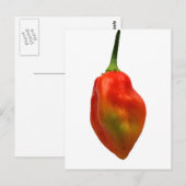 Foto Habanero Single Pepper Briefkaart (Voorkant / Achterkant)