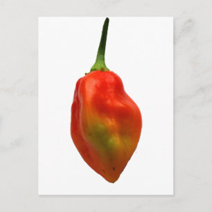 Foto Habanero Single Pepper Briefkaart
