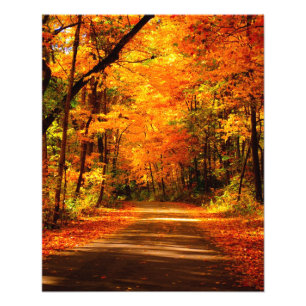foto herfst afdruk