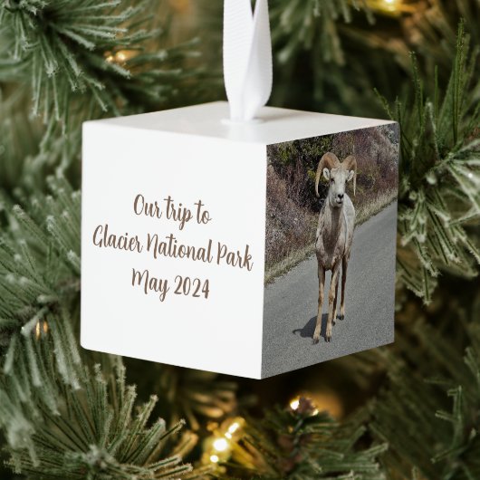 Foto Herinneringen Kubus Ornament (Boom)