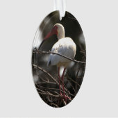 Foto Ibis Bird Ornament (voorkant)