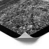 Foto IV-portfolio #5 Poster (Hoek)