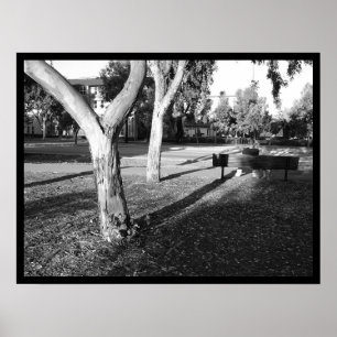 Foto IV-portfolio #5 Poster