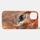 Foto IV van Chestnut Horse's Case-Mate iPhone Case (Achterkant (horizontaal))