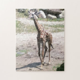 Foto Jong Giraffe Wandelen Jigsaw Puzzels