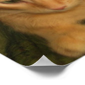 Foto kat afdrukken poster (Hoek)