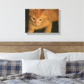 Foto kat op Canvas Afdruk (Insitu (Slaapkamer))