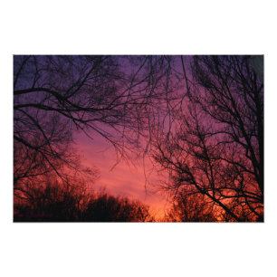 Foto "Kleuren" Afdruk