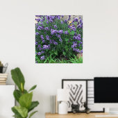 Foto Lavender Flowers Poster (Thuiskantoor)