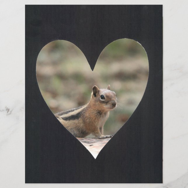 Foto-Lijst toevoegen (zwart) (Voorkant)