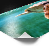 Foto Loggerhead #2 Foto Afdruk (Hoek)