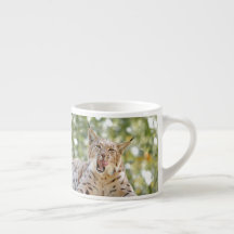 Foto lynx, kat, dieren . espresso cup