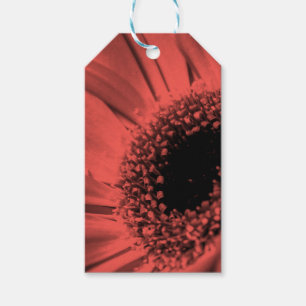 Foto, macro cadeaulabel