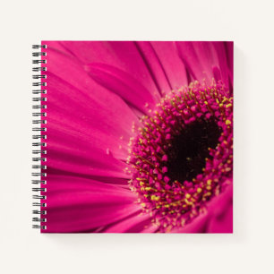 Foto, macro notitieboek