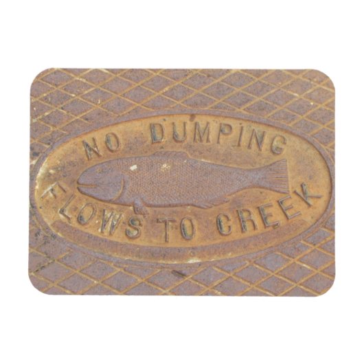 Foto Magnet - Stroom naar Creek Magneet (Horizontaal)