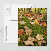 Foto natumn Forest Floor Briefkaart (Voorkant / Achterkant)