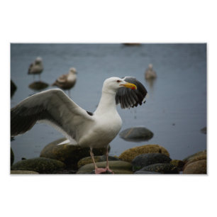 Foto niet storen afdruk