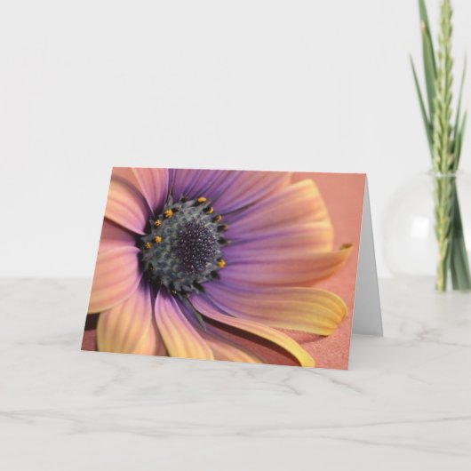 Foto & ontwerp van Charmaine French-Allaka 112010 Kaart (Voorkant)