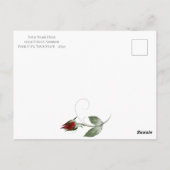 Foto Opslaan Datum Blush en Wine Rozen Briefkaart (Achterkant)