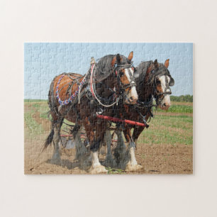 Foto Paarden Clydesdale Farming Legpuzzel