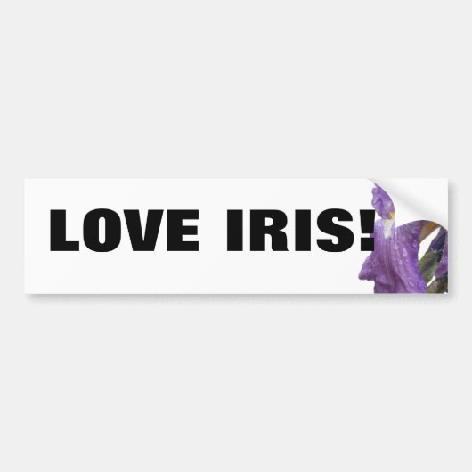 Foto Paarse iris Bumpersticker (Voorkant)