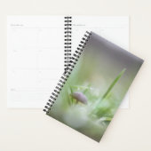 Foto paddenstoel Natuur Planner (Display)